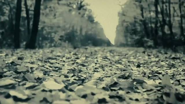 该凉的也凉了，该黄的也黄了，马上风吹。叶落下雪，这一年就过去了