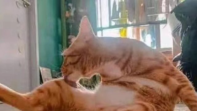 《崩坏3》乐土娱乐