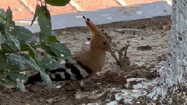 怎么搞的 这么不小心