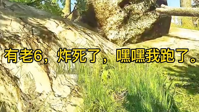 逃离塔科夫:有老6，炸死了，嘿嘿我跑了。