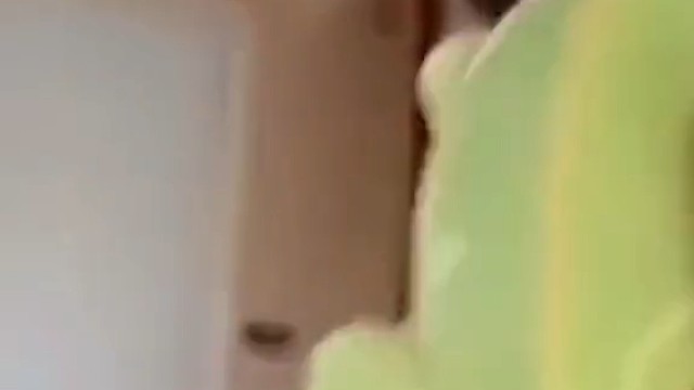 变色龙为什么在你手上是绿色的