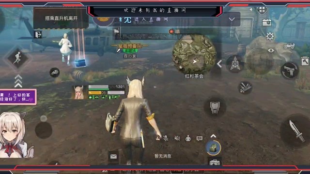 新人请多多关照