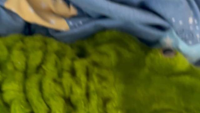 鳄鱼说今天有点冷