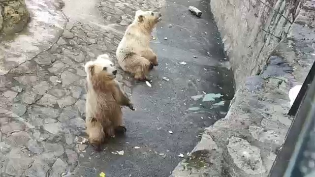 每天接档的日常