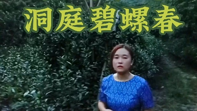 苏州东山镇碧螺春核心产区，最是江南洞庭碧螺春