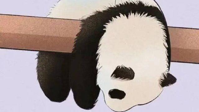 抽卡传说流浪要塞通关视频