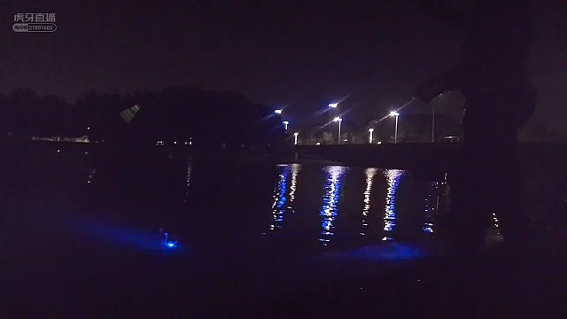 国庆秋日夜钓，两斤大板鲫之后，鲤拐子也来凑热闹！