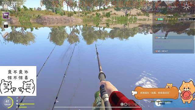 七级海杆蓝冠三花资格总算来了