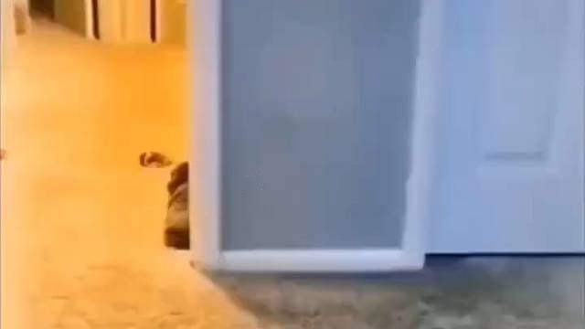 这睡眠质量羡慕了