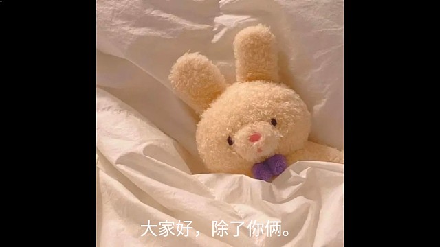 你们玩的挺花呀～