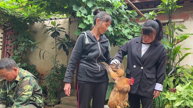 农村婆婆要给坐月子的女儿送鸡，儿媳却拦着不让，婆媳如何相处？