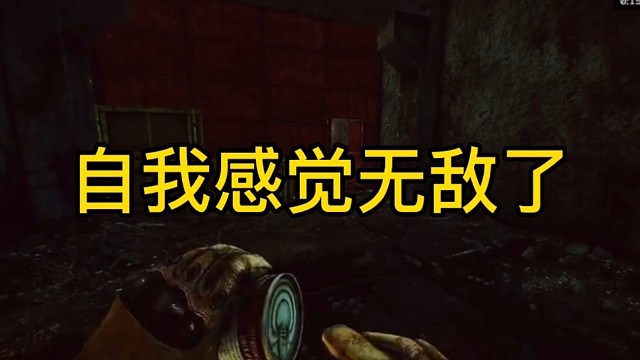 逃离塔科夫:自我感觉无敌了。