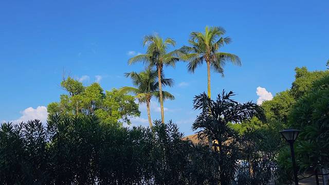 我们都要快乐和自由