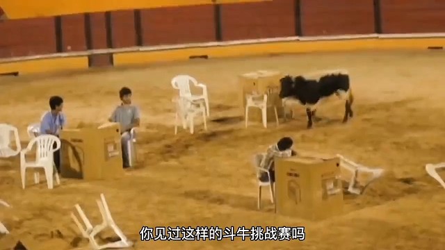 斗牛挑战赛，你敢挑战吗