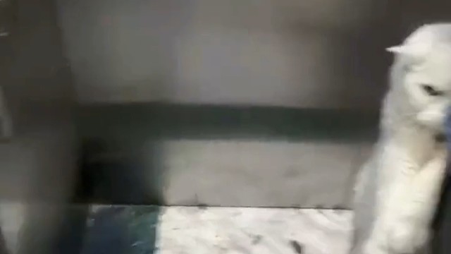 想刀一个人的眼神是藏不住的