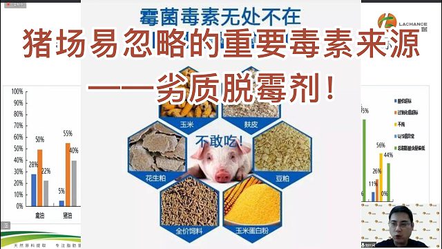 猪场容易忽略的重要毒素来源之一劣质脱霉剂!导致猪群中毒#养猪人 #脱霉剂 #霉菌毒素 #养猪技术