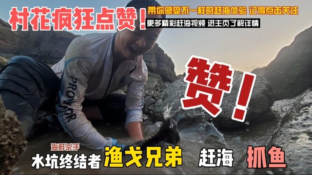 小明抓到什么大宝贝让村花紧张的不行，连昂贵的大红斑都成了配角