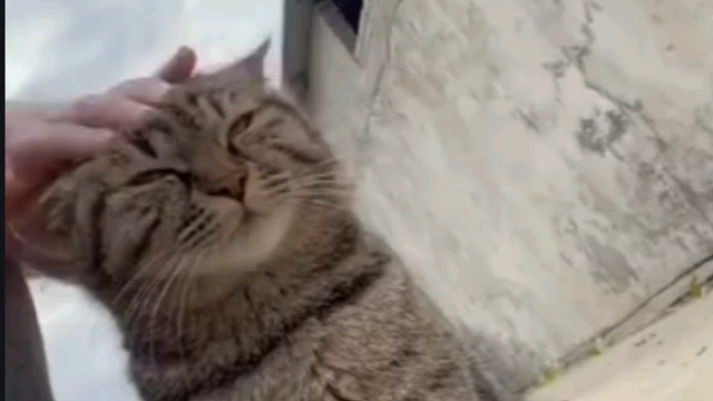 我这个姿势怎样