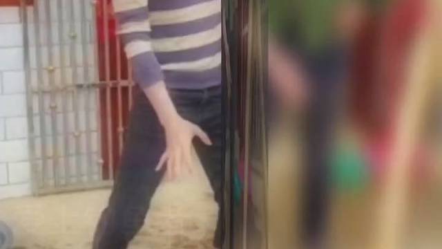 每天搞笑视频不断