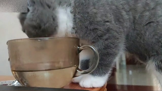 它已经很努力在拯救这个杯子了！