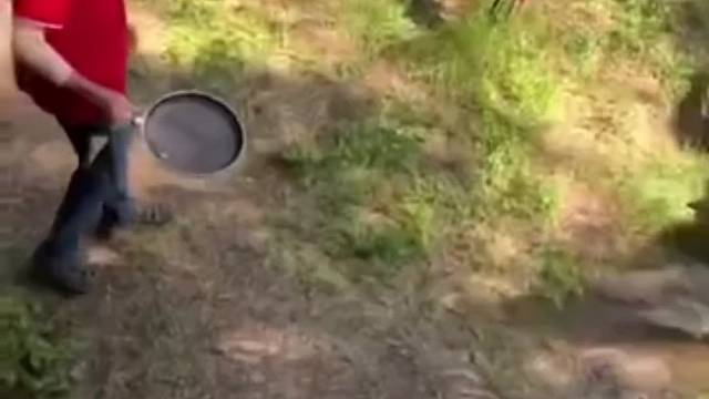 鳄鱼：这TM是谁要吃谁啊？