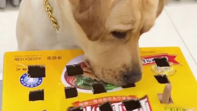 笑死我了！哈哈哈