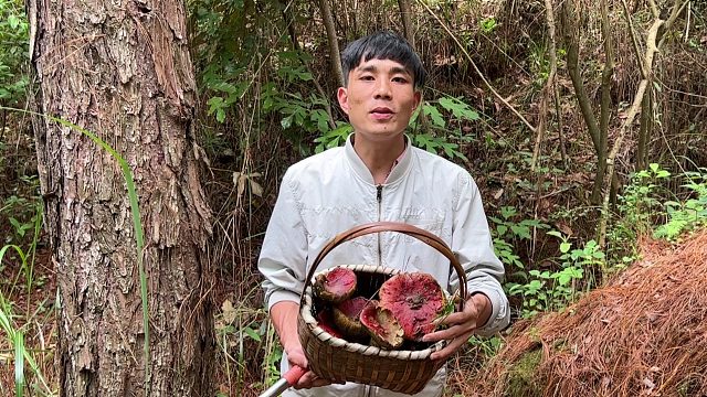 云南小伙深山捡野生菌，好货一堆接一堆，这种感觉太爽啦