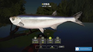 22圖漁夫圖鑒——超輕星歐飄
