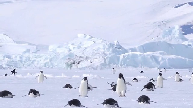 寒露
一重秋风一重冷一场秋雨一场寒
晨早洦塘腾雾气袅袅轻盈舞逸上
袅袅凉风动凄凄寒露零