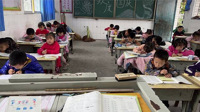 匆匆忙忙吃早餐去看我的小宝贝们