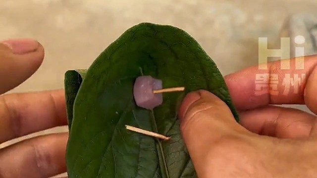 古法捉鸡，这方法可以