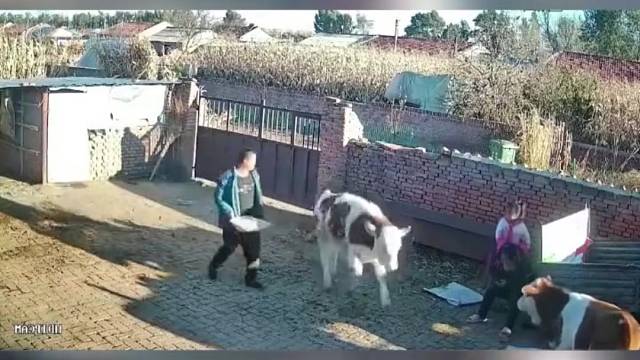 去，又吃这。都吃腻了