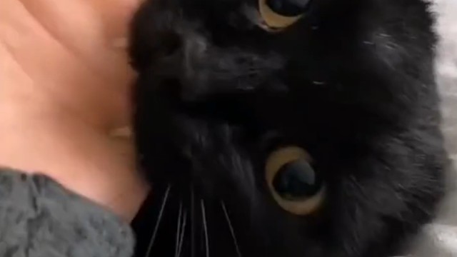 小时候还好好的，长大后就变了