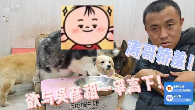 【囧囧宠物-涛哥】涛哥比心娇羞宣言！