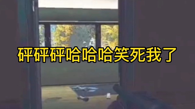 逃离塔科夫:砰砰砰哈哈哈笑死我了。