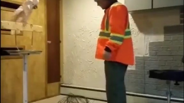 当主人踩坏了鹦鹉的笼子