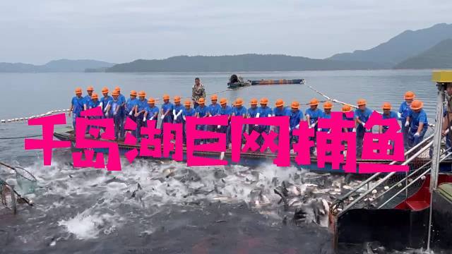 千岛湖巨网捕鱼