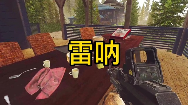 逃离塔科夫:雷呐！