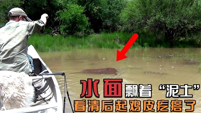 水面漂来两块“泥土”不停涌动，老外凑近看清后，直起鸡皮疙瘩！