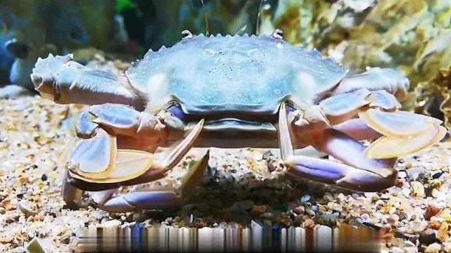 看得我很想帮它一把