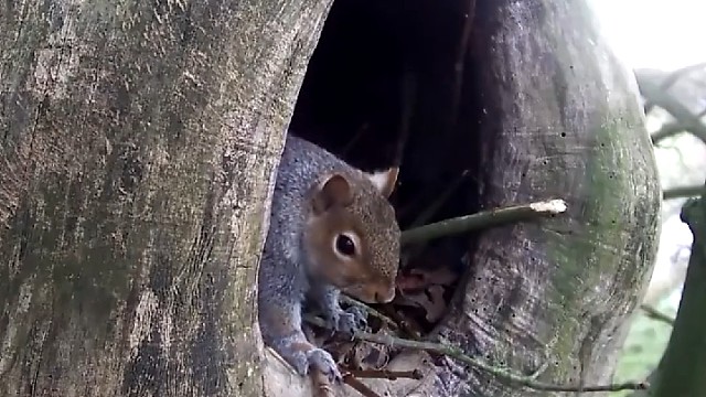 说明房子得重要性