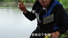 雨天钓草鱼很难，看我能否成功上岸盘老板。 (1)