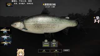 16圖廓里湖—星廓里湖白鮭（87星）