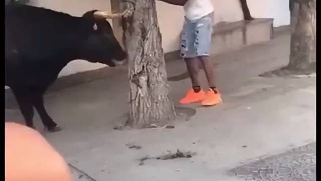 牛：小崽子你跟我在这装啥呢