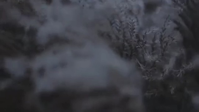 玩一玩