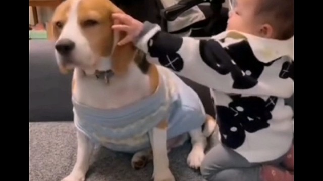 你很烦唉，快去上学去