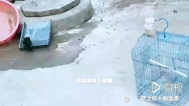 请求订阅，感谢大佬