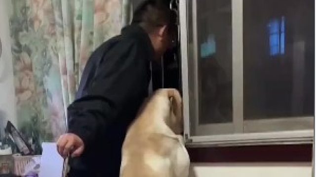 狗子：你给老子让让