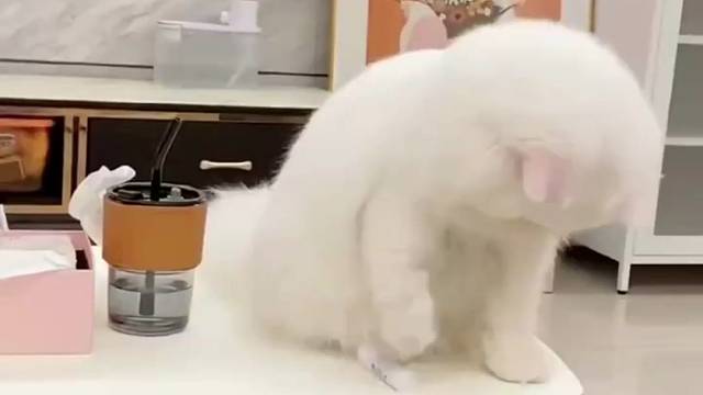 你不懂我！，哈哈哈！