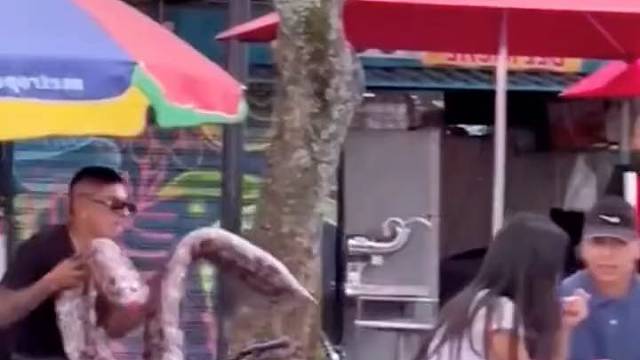 没有心脏病估计也吓出来了